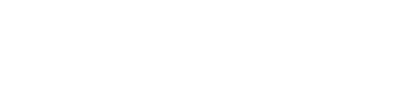 South Tyneside Council Logo