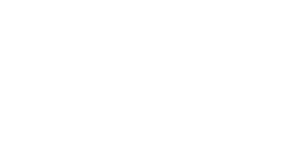 North Lincolnshire Council Logo