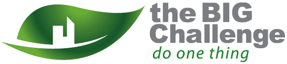 The BIG Biodiversity Challenge 2019